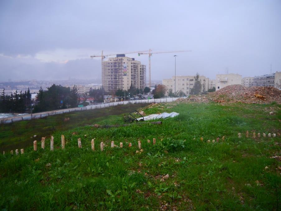 A wider view of the same stone line running down the slope, with city buildings and construction cranes in the mist.