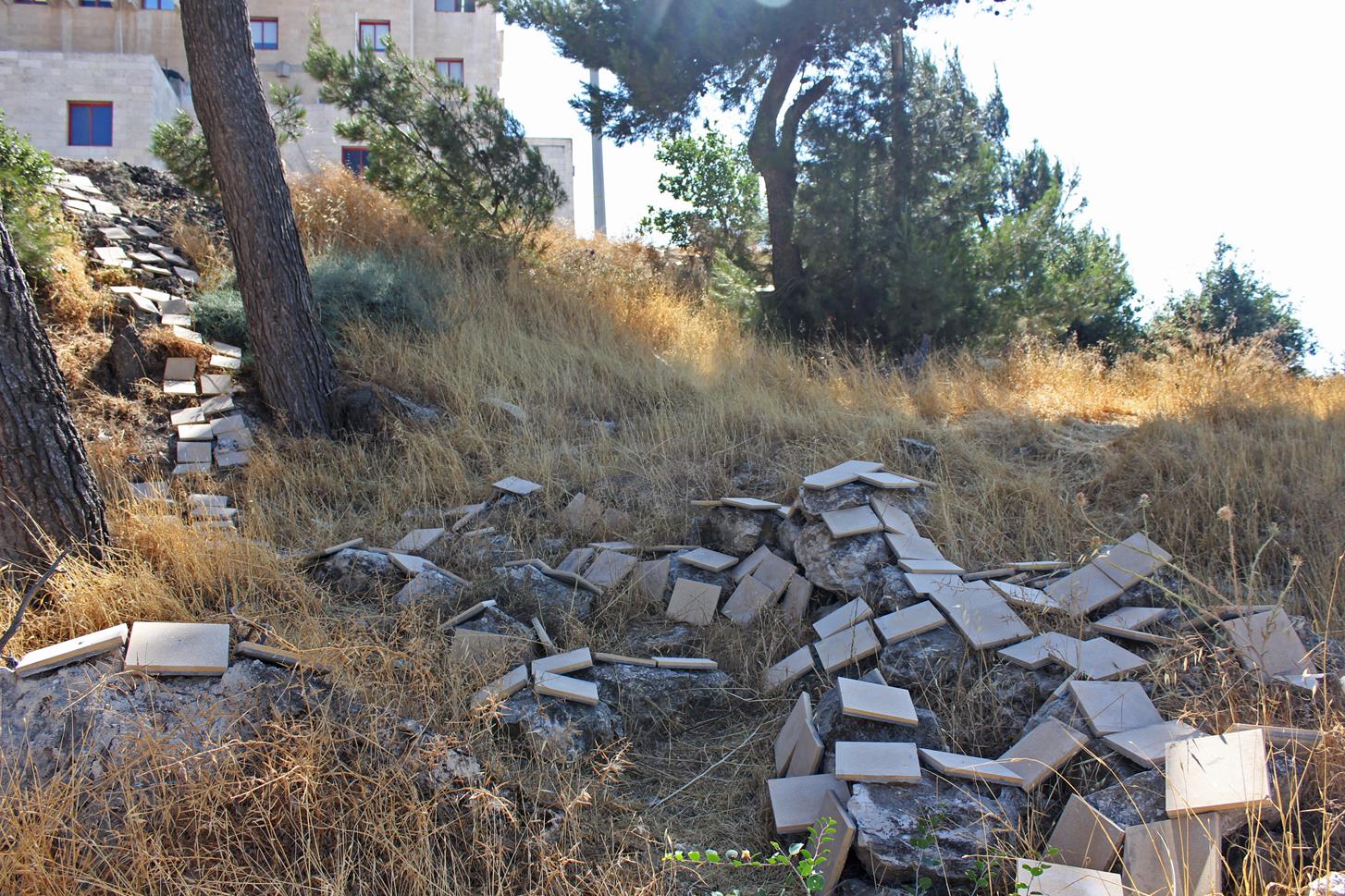 White tiles scattered in a broad line through dry grass on a wooded slope, a low stone wall and pines beyond.