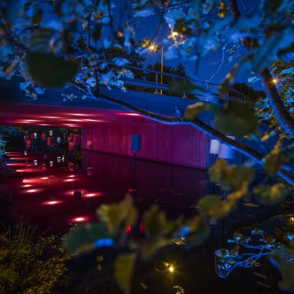 The same lit underpass seen from the riverbank through overhanging branches, the foliage picked out in blue.